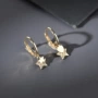 彩金星星爱心形14k金耳环
