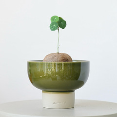 Nordic Simple Ceramic Flower Pot High Foot Emerald Block Root Plant Greenery Creative Personalized Kiln Change Glaze Fern Pottery 