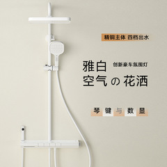 Bathroom Home Shower Head Set Hotel Bathroom Thermostatic Shower Head Engineering Special Shower Head Factory Wholesale