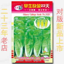 蔬菜种子公司四季易种地摊菜种花卉种子批发-23天早生快菜种子