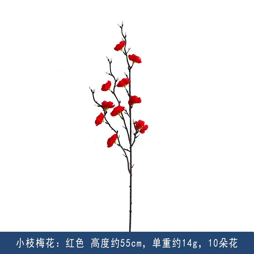 미니 플럼 레드