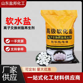 片状软水盐离子交换树脂再生剂软化水质软水机专用盐高纯度国标