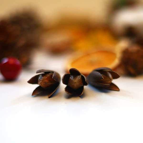Magnolia fruit (single price)