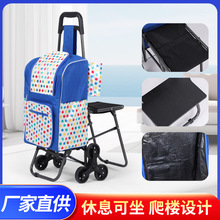 老人买菜车小拉车带凳便携爬楼购物车可折叠小推车超市购物车批发