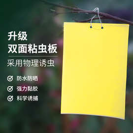 粘虫板黄色双面诱虫板蓝板黏蓟马白粉虱茶园果园大棚粘虫带批发
