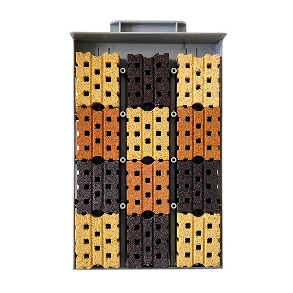 12 pieces of bacteria bricks