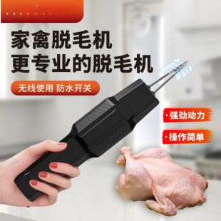 �����r�С�ȫ�ԄӼ��ݰ�ë��늄�ȥ�u���Zë������늼�����Óë�C