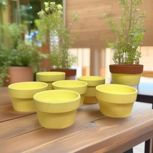 �t�հ����pɫ���⻨�豱�W�L��ɫ�A��͸�������մ����⻨��