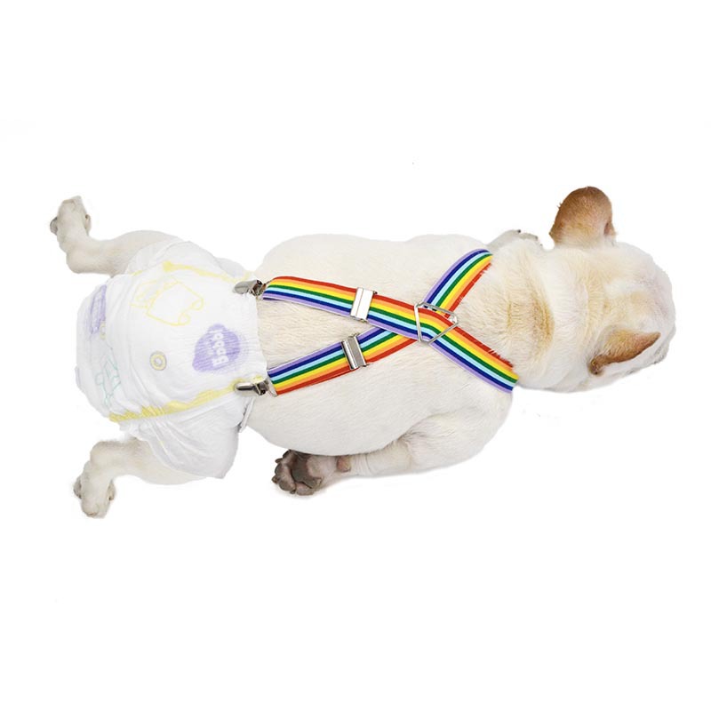 Mascota correa ajustable clip perro fisiológico pantalones para mascotas pañal clip fijo cinturón de cortesía transfronteriza suministros para mascotas