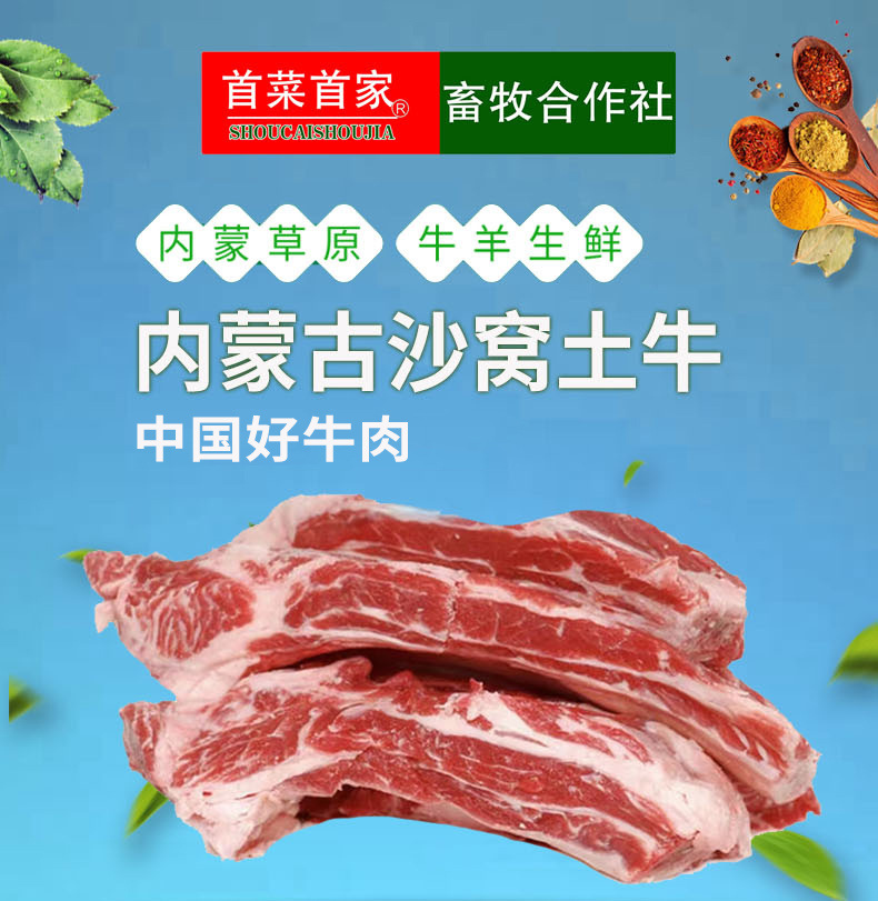 48abecc4d39637d3f7de8767e43f36