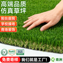 �������Q��������ƺ�����̨���^��Ƥ�������e�bGɫ�ٲ�ƺ