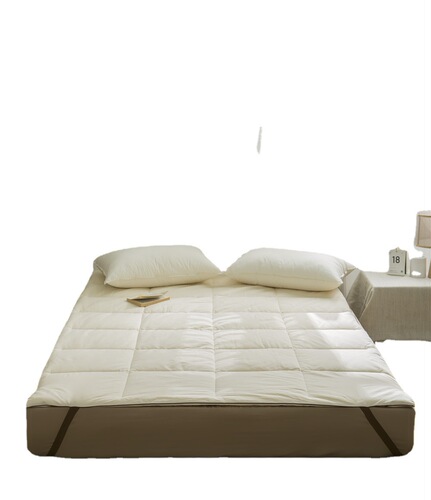 Simple checkered solid color cotton mattress winter thickened warm mattress pure cotton tatami mat quilt anti-slip