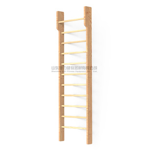 Shoulder Rib Wooden Frame Rehabilitation Center Schross Scoliosis Orthopedic Home Rehabilitation Room Hospital Gymnastics Training Rack
