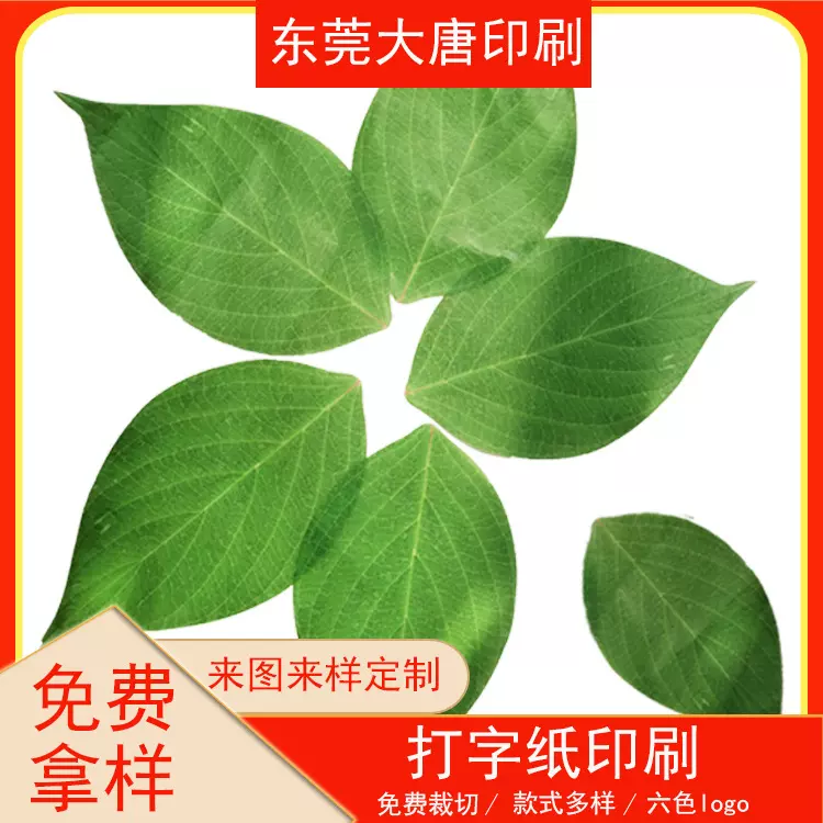 仿真叶子礼盒内衬装饰雪梨纸手工DIY绿植绿叶道具厂家批发牛皮纸