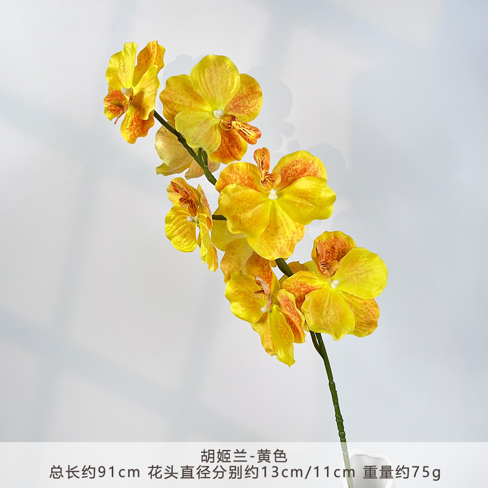 K-胡姬兰-黄色