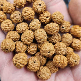 五瓣金刚菩提圆珠散珠木头珠子diy手链项链佛珠配件饰品珠子批发