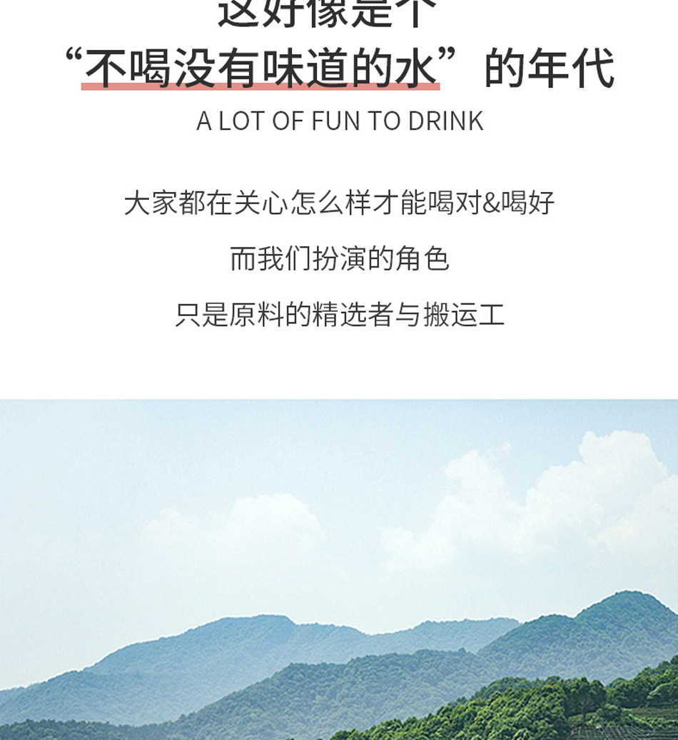 Wild Chaga Mushroom Hua Shu Rong Dried Sclerotium Bulk Herbal Tea Ingredient quality and texture
