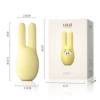 Cute pet rabbit