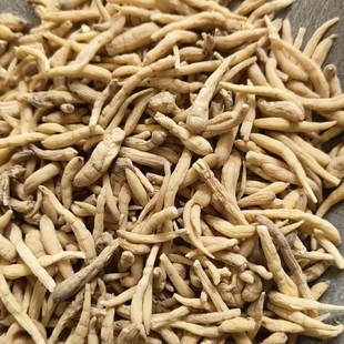 ̫�Ӆ������l �x�b�o�s�|̫�Ӆ� ɢ�b��������؛�a��؛؛Դ