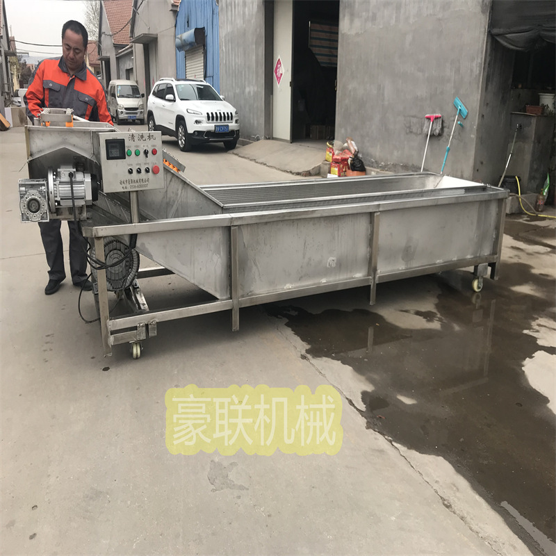 供应香菇清洗机 菌菇类清洗设备 气泡式清洗机