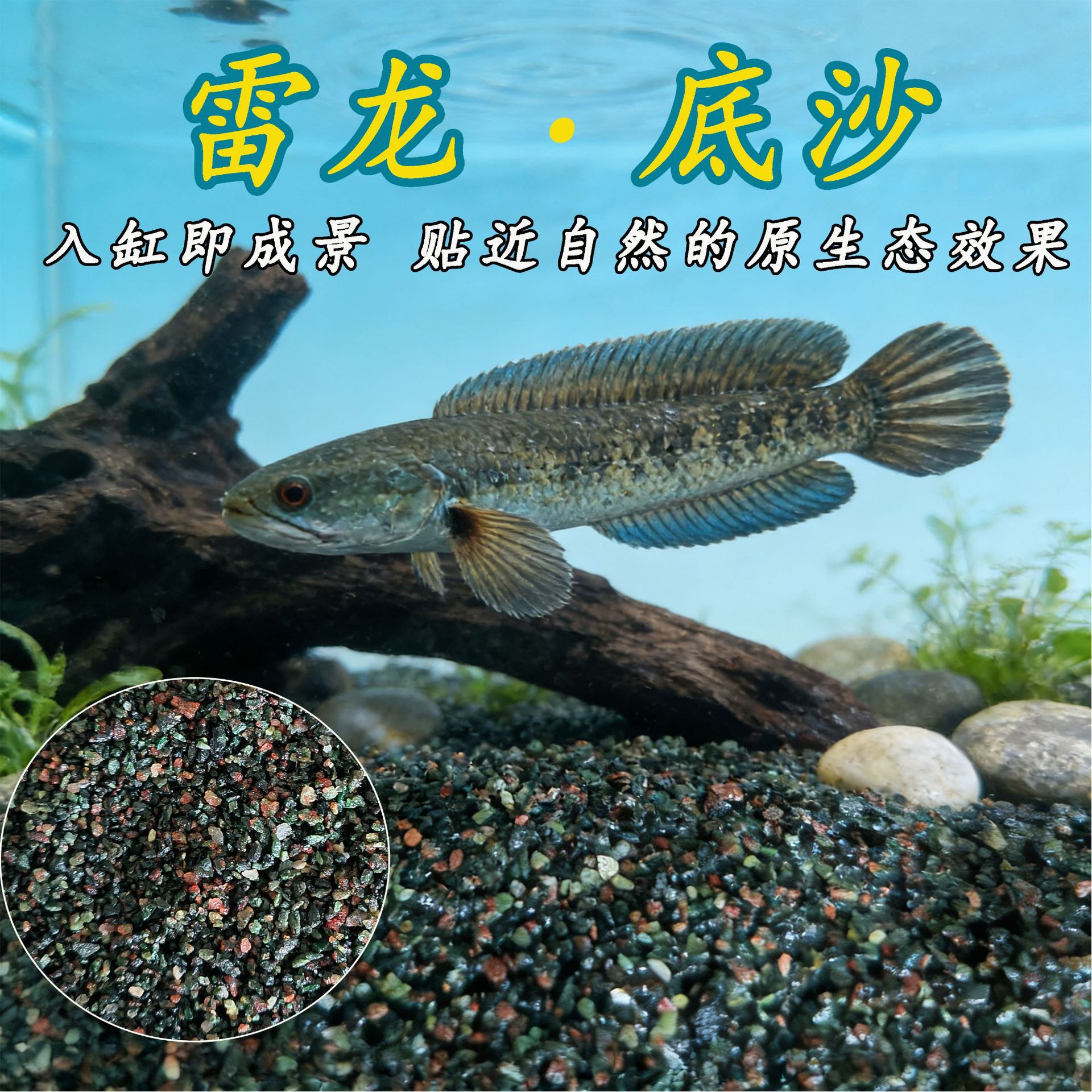 鱼缸底沙雷龙沙青灰色细粒0.5-1MM偏暗灰青沙 鼠鱼七彩牙鱼雨林沙