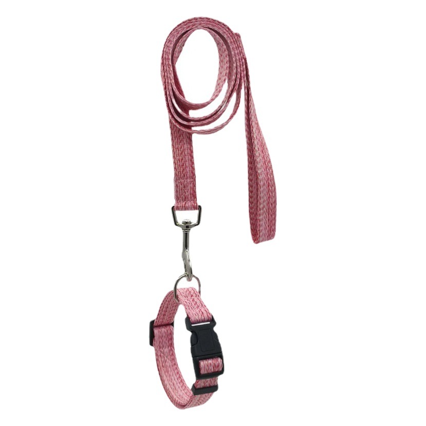 Perro gato Correa perro cadena perro caminar gato Correa pequeño y mediano tamaño cuerda cachorro gato cuerda Teddy suministros para mascotas