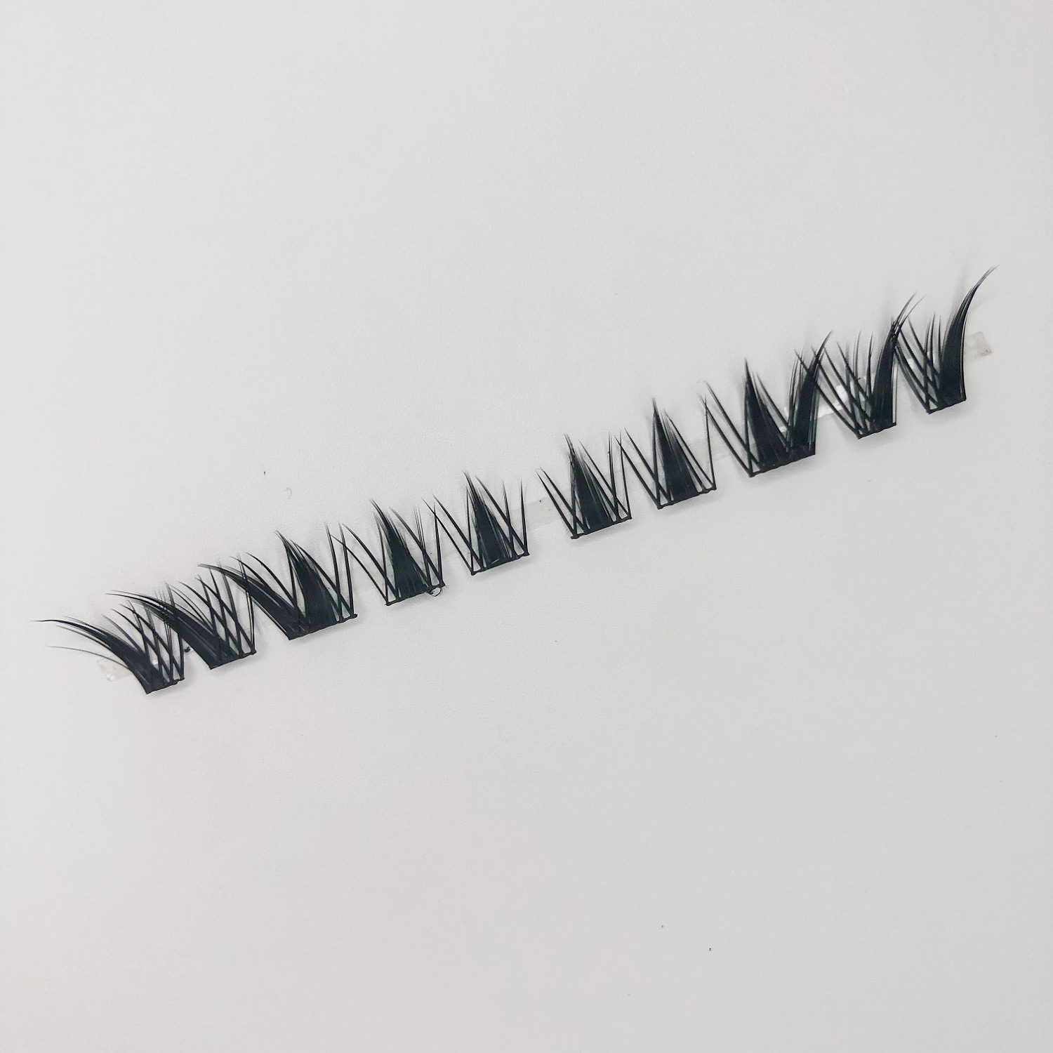 Conejo grueso de nueve colas