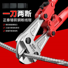 �ྀ�Q䓽�����Q���F�z���Q���Ɖ��_�i�����Q䓽z�����