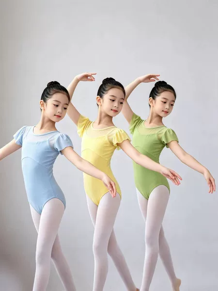 Children's Dance Clothing, Girls' Short-Sleeved Practice Clothing, Summer Chinese Dance Ballet Gymnastics Clothing, Performance Clothing, Body Suits