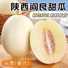 现摘陕西阎良甜瓜5斤新鲜当季水果整箱10香瓜甜脆蜜瓜孕妇一件代