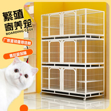 ؈�\�ӷ����\����؈�\���ӷ�ֳ�\�������B���\؈�ጣ�û\�����\