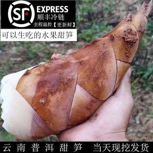 S rS ˮS FS ն ЪS S