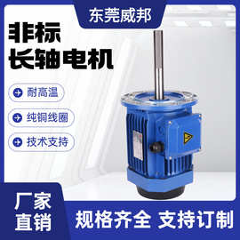 订制非标长轴电机180W-4KW交流三相异步电动机耐高低温纯铜线马达