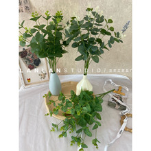 ���X�����l��c���滨 ����16���ȼ������X�~�������̾��^�b�