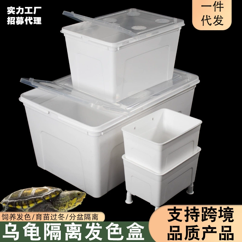 Черепаха черно-белая коробка цвета волос Яйцо черепаха Коробка для разведения коробки