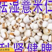 薏仁米薏米仁新货贵州薏仁米可搭配赤豆红豆五谷杂粮粗粮油煲汤