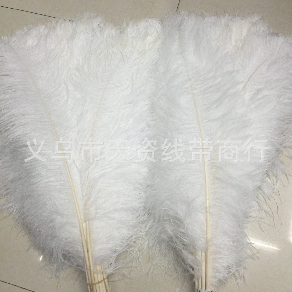 2024-04-11 17:58:20.jpg