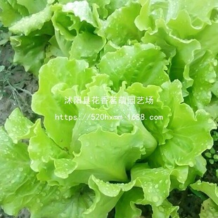 �ļ��߲��������� ���m����������Գ��۠I�Bѿ��� ����ُ���N��