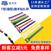 ħ�g�N����100�����] �Դ���������������C����������ħ�g�N����