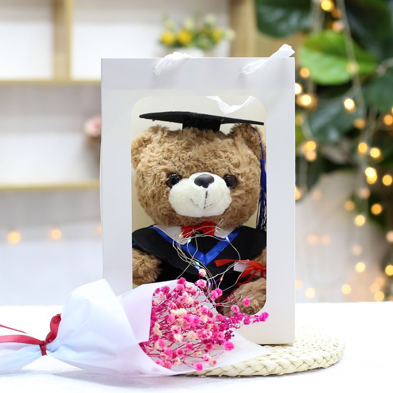 Venta al por mayor de uniformes de licenciatura, maestría, oso de doctorado, juguete de peluche, muñeca de oso graduado, muñeca de trapo impresa, regalo de graduación