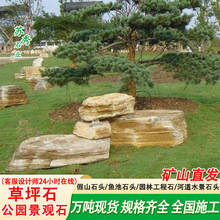 公园草坪石景观石千层石龟纹石河道置石景区造景石头道路风景石头