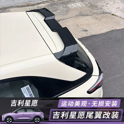 Rear Wing, Special Exterior Modification | Big Surrounded