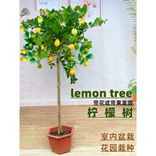 ��ˮ���ʘ������Ԏ�����ʳ�ÿ͏d�Gֲ����ֲ���������̨�ļ��Y��