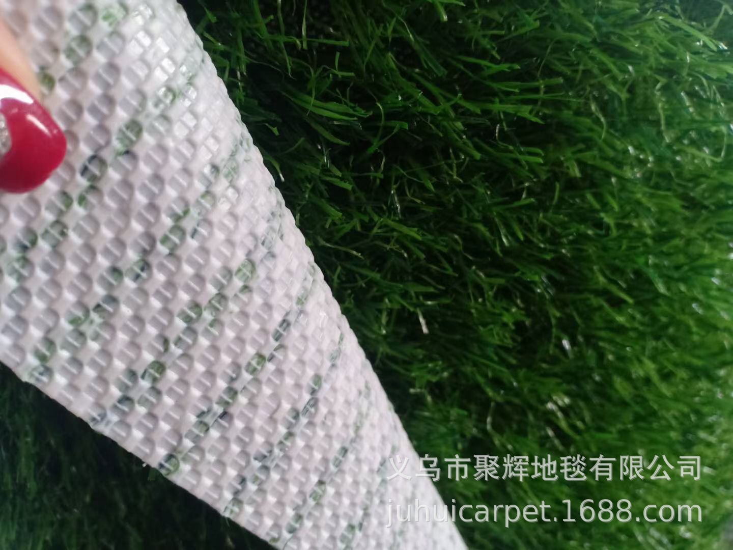 IMG_5229(20211117-102727)