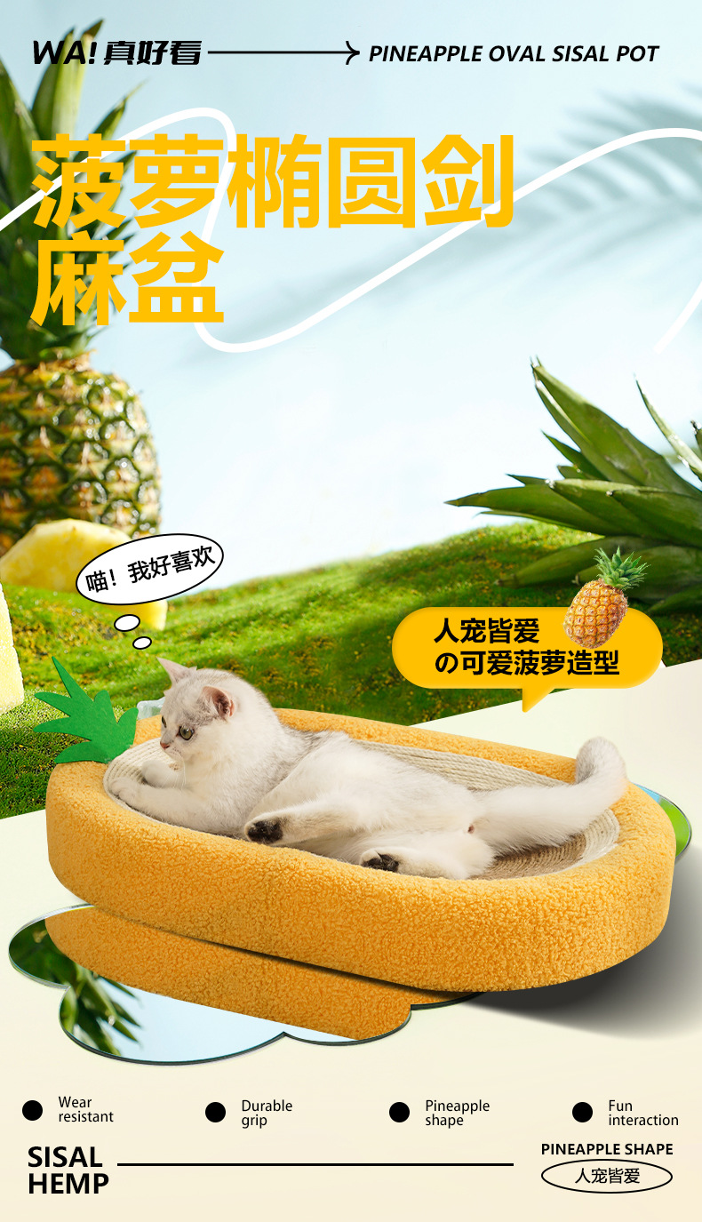 菠萝剑麻盆_01.jpg