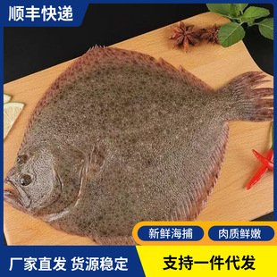 ���r��������~�r���ك���Ŀ�~���������Gƫ���~���ú��rˮ�a���l