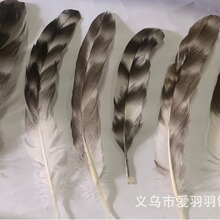 ���l�J���u�C�Ứ�y��ë��ˇƷñ���b�����·�����Ұ�u��ë