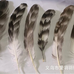 ���l�J���u�C�Ứ�y��ë��ˇƷñ���b�����·�����Ұ�u��ë