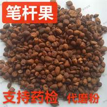 笔杆果 中药材 木贼子 空心草果 木贼籽 锁眼果 支持药检