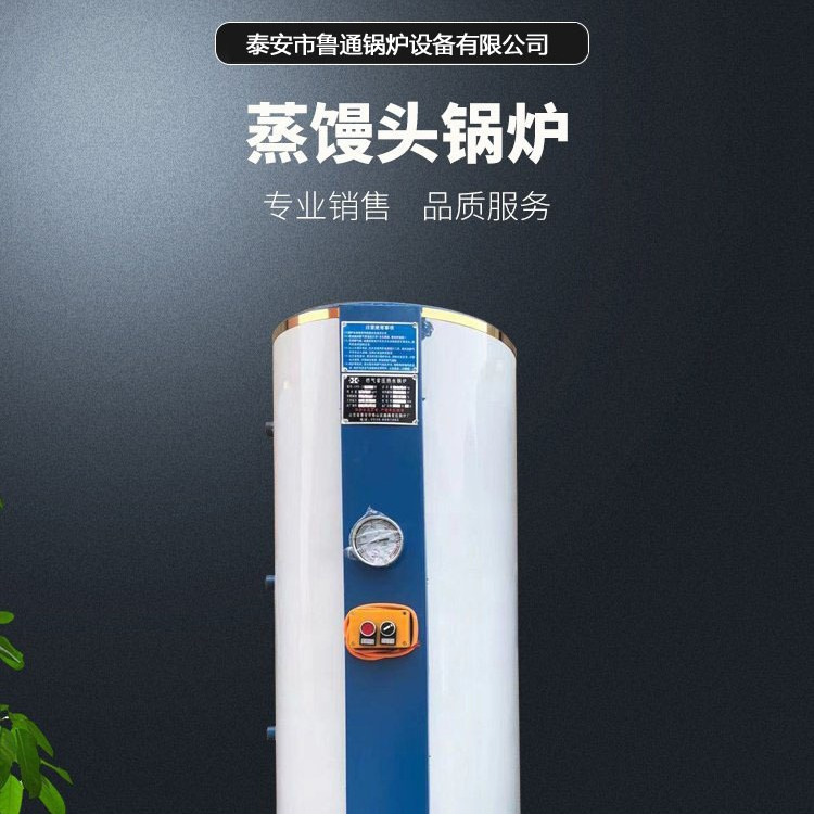 实力商家生产商用燃气节能锅炉一键式开关 电子自动点火